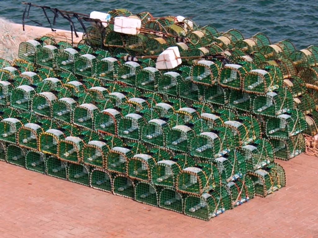 Lisbon Private Tour - Cascais