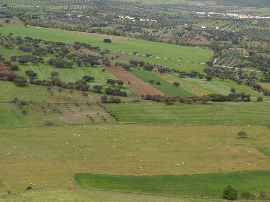 Evora Private Tour - Alentejo landscape