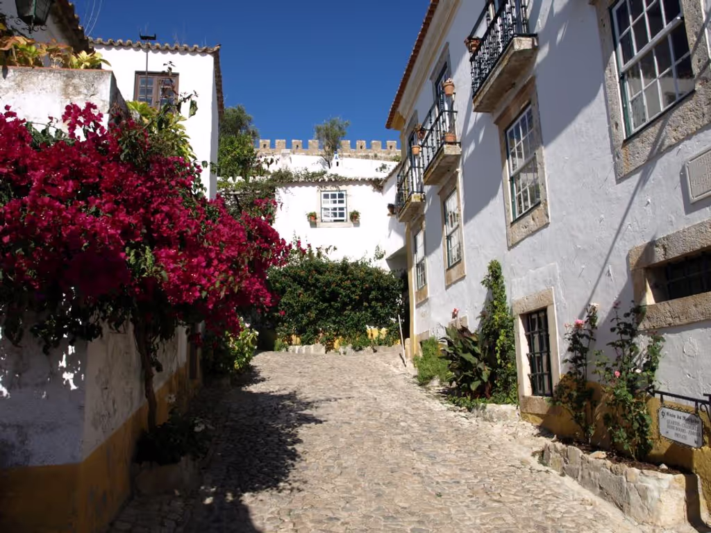 Lisbon Private Tour - Óbidos