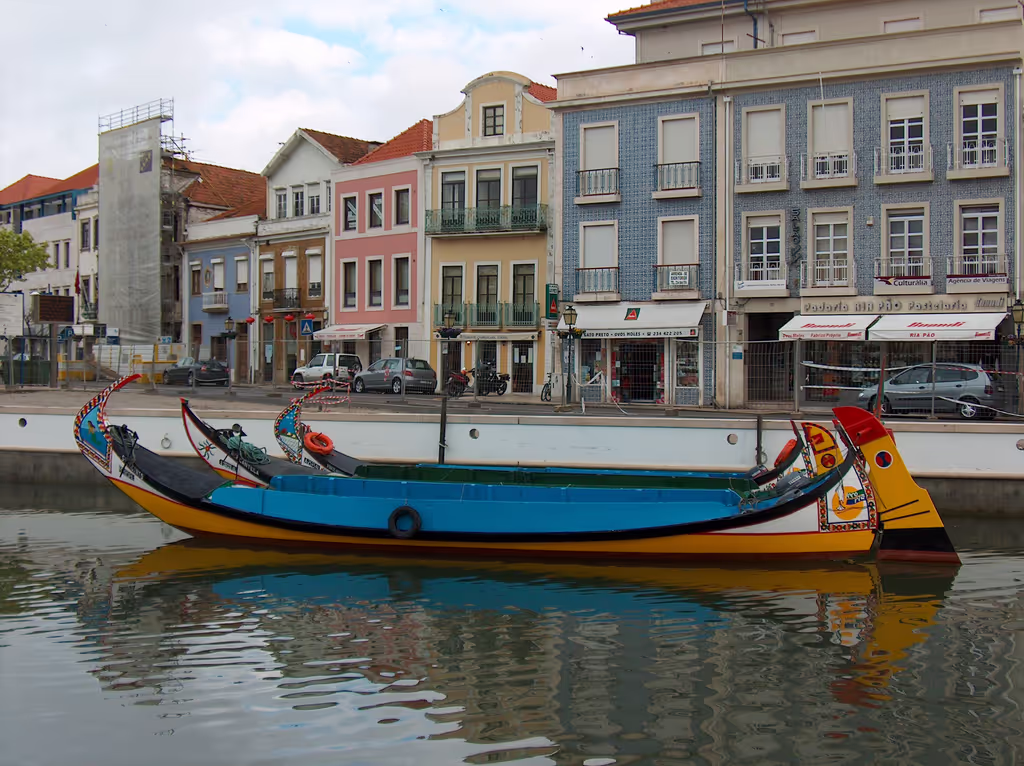 Lisbon Private Tour - Aveiro