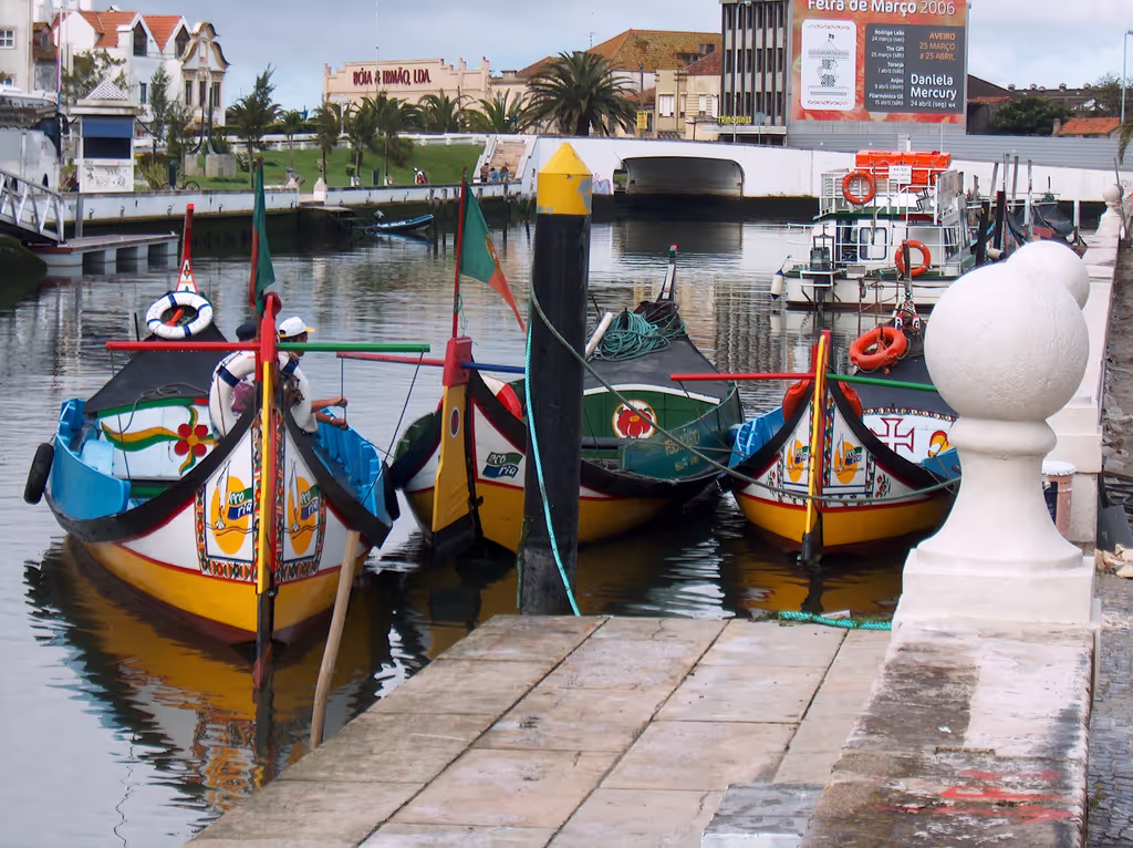 Lisbon Private Tour - Aveiro