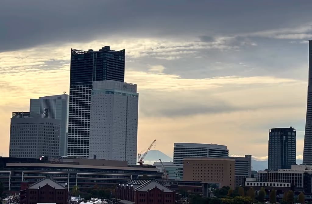 Narita Private Tour - 