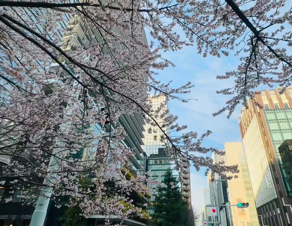 Narita Private Tour - 