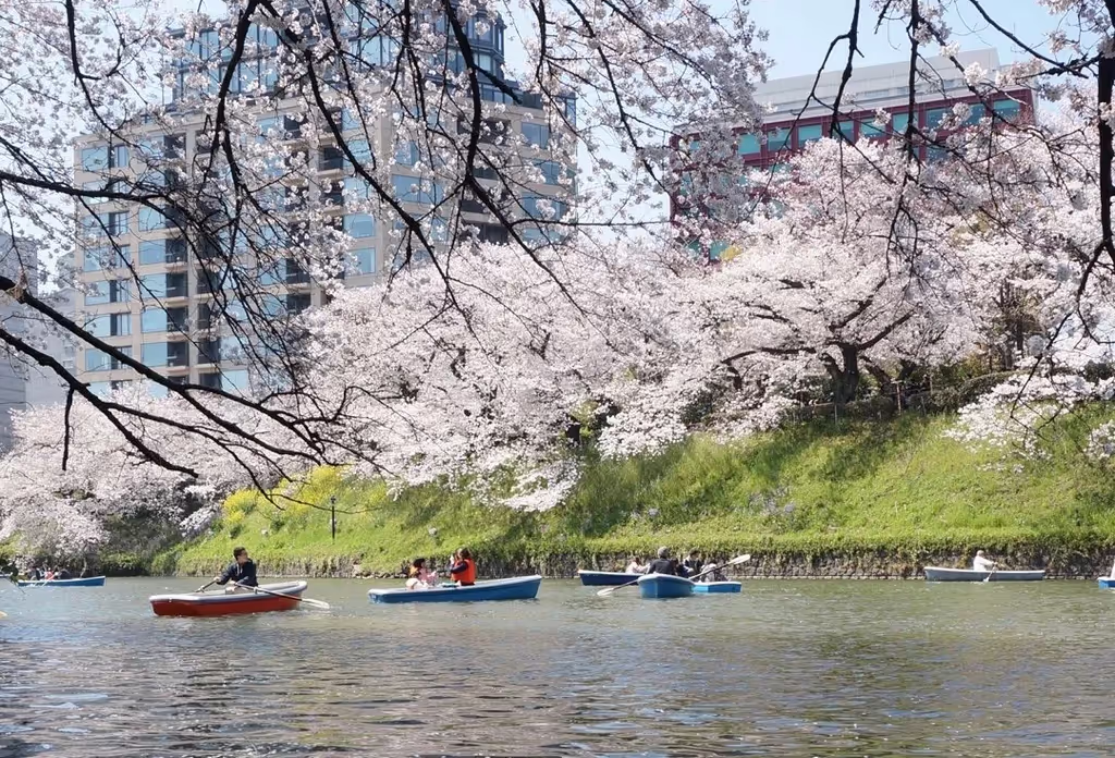 Narita Private Tour - 