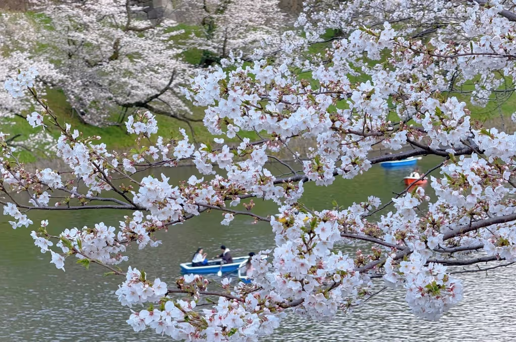 Narita Private Tour - 