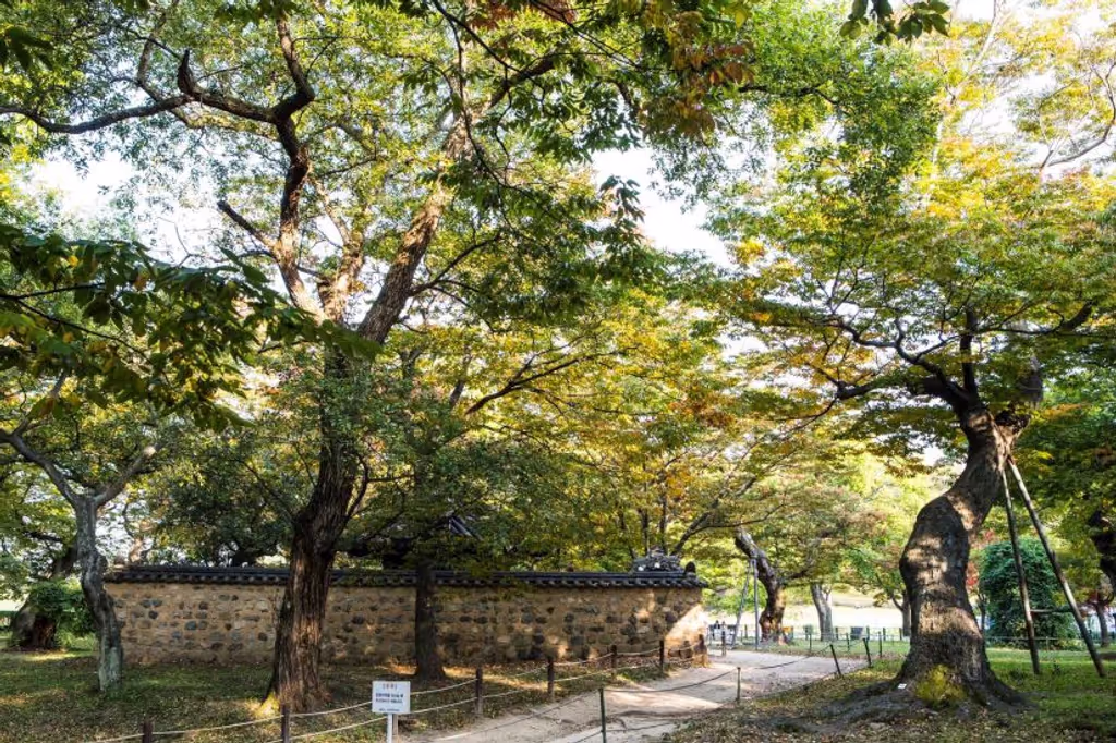 Seoul Private Tour - 