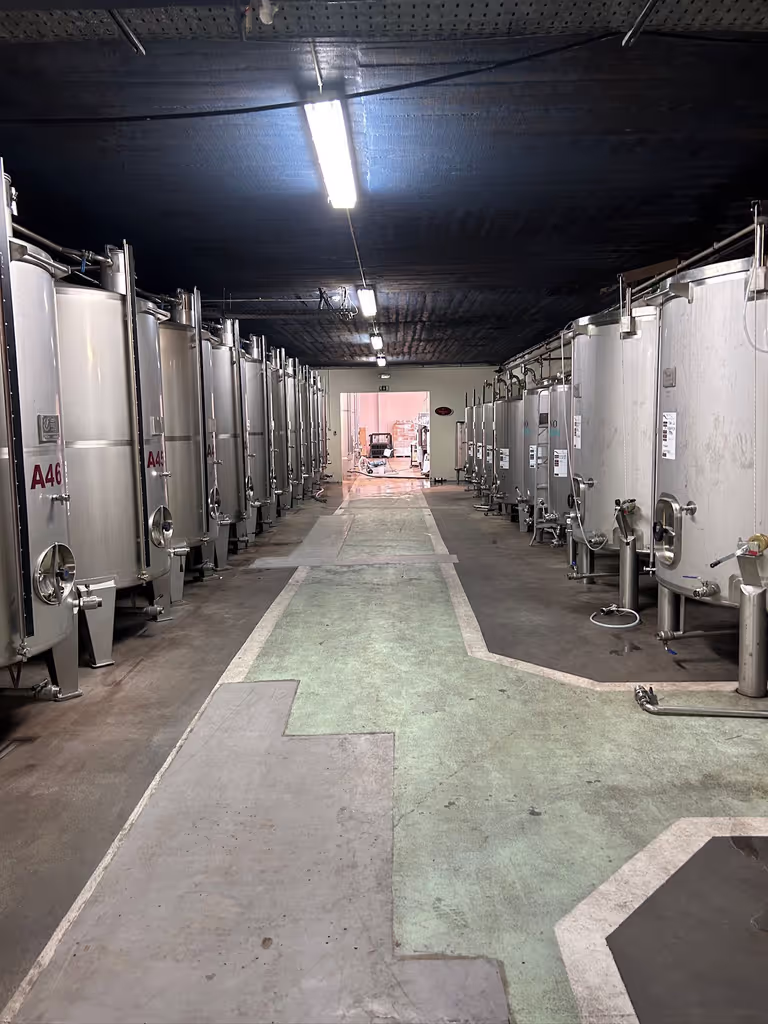 Lisbon Private Tour - Quinta de Catralvos winemaking