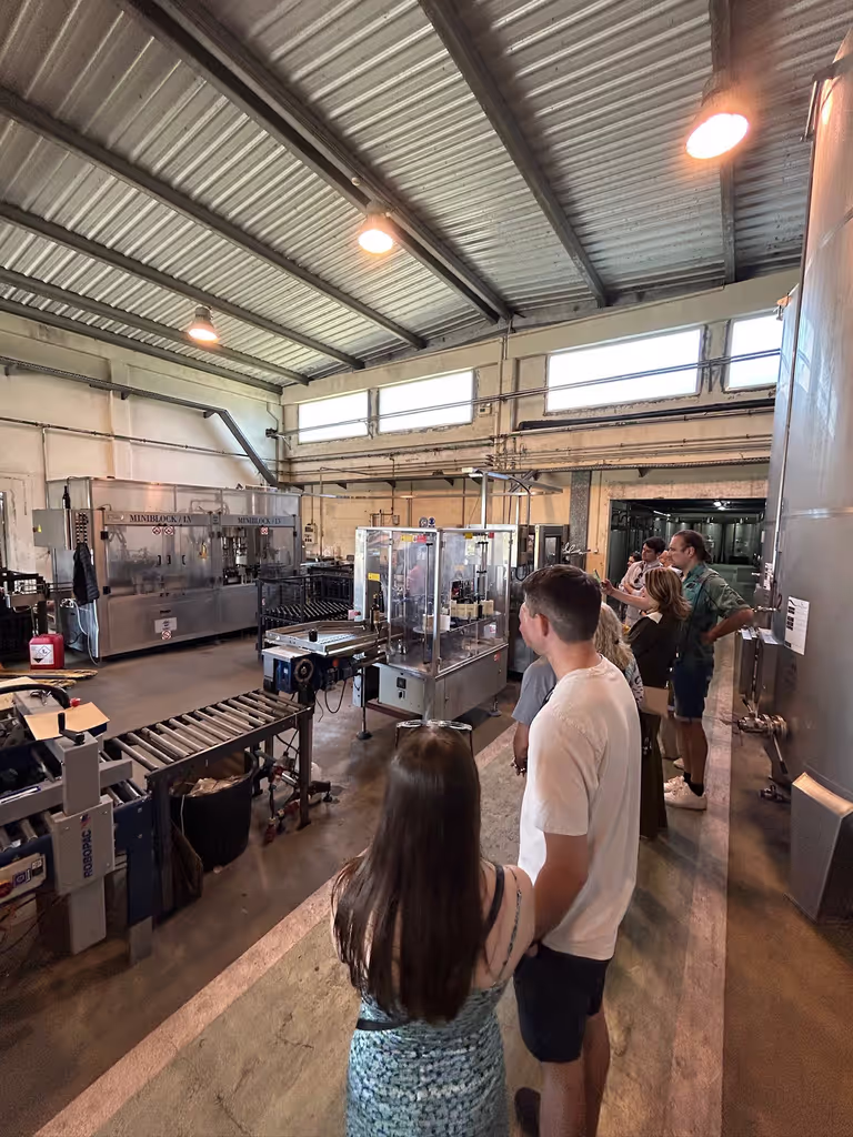 Lisbon Private Tour - Quinta de Catralvos Labeling Wine