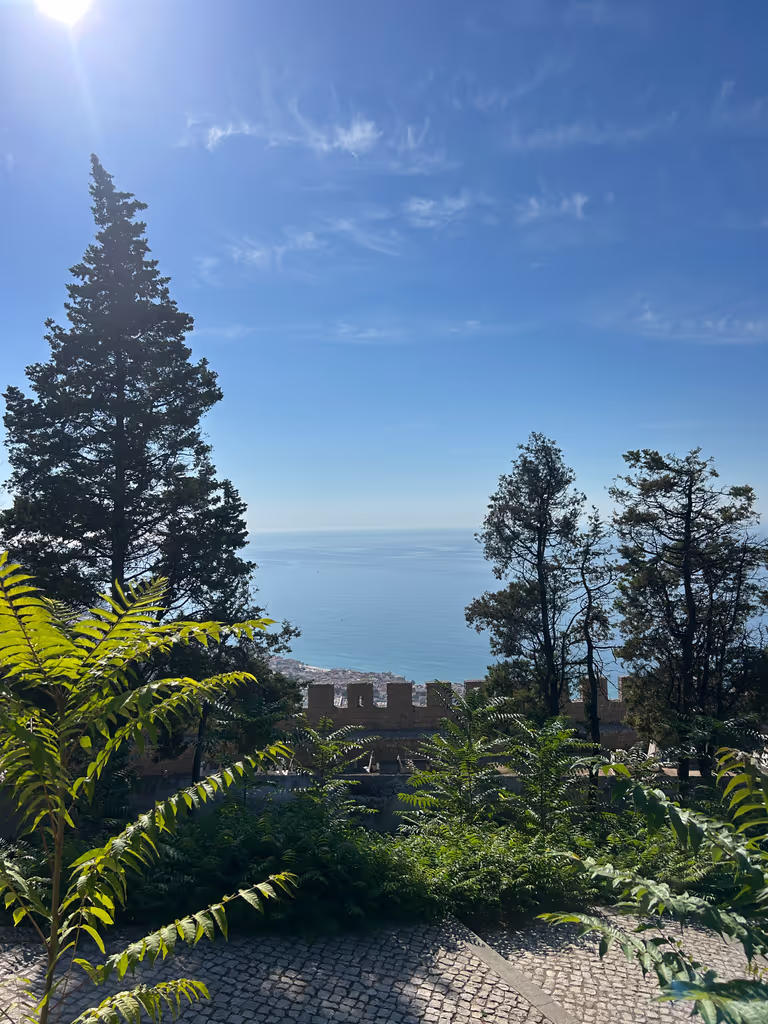 Lisbon Private Tour - Castle of Sesimbra Breathtaking Views