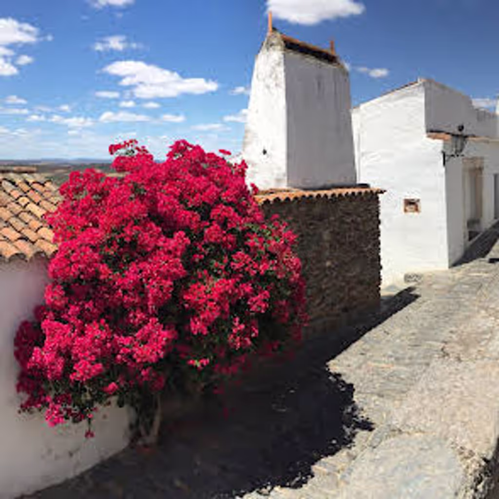 Evora Private Tour - Monsaraz