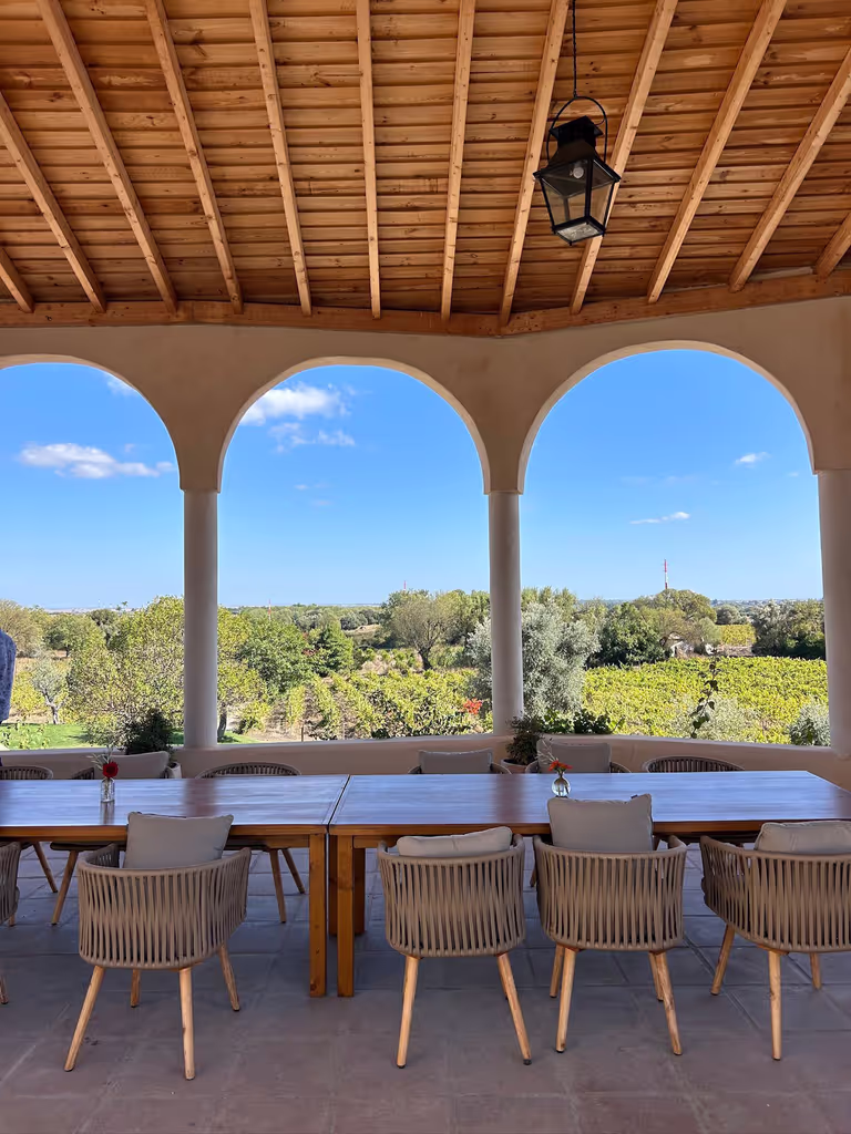 Lisbon Private Tour - Fita Preta Winery Views