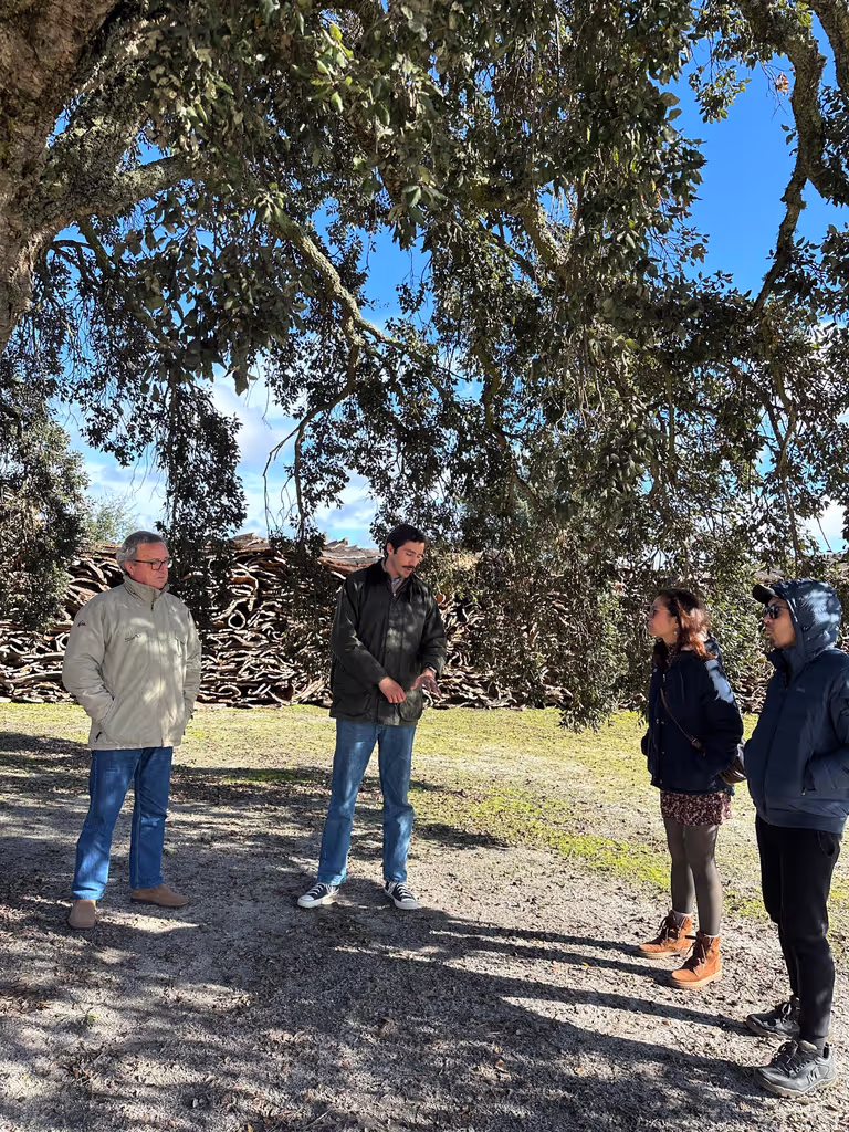 Lisbon Private Tour - Cork factory explaining