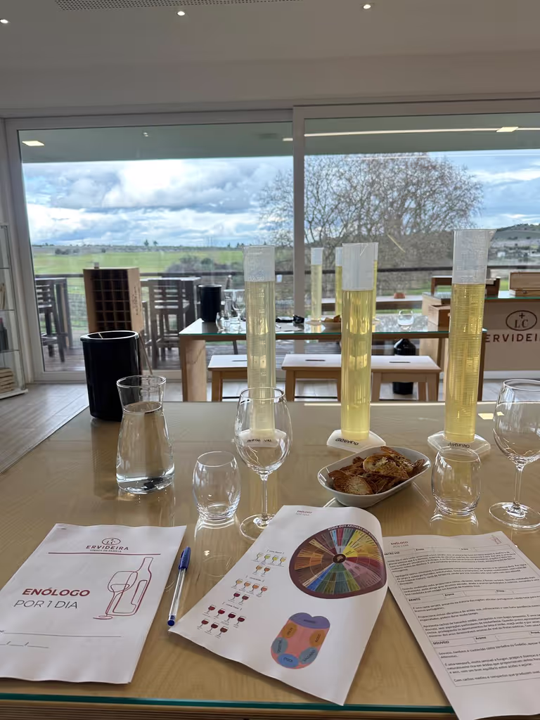 Lisbon Private Tour - Winemaker for a day experience at Ervideira