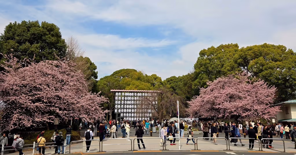 Narita Private Tour - 