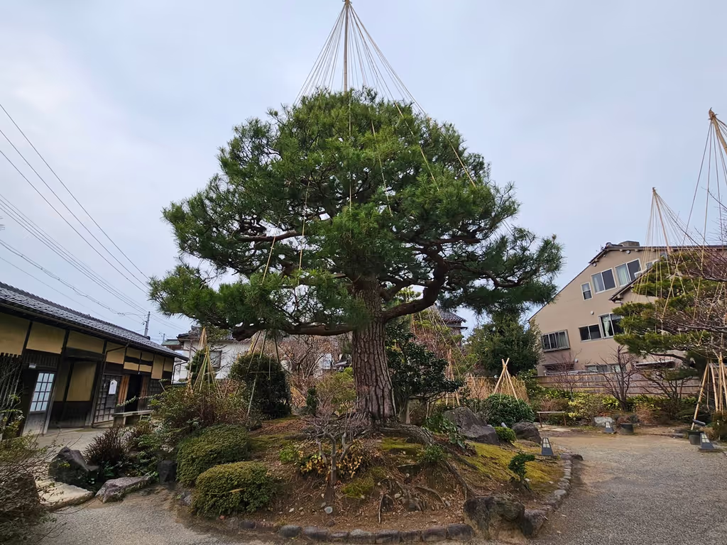 Kanazawa Private Tour - Nagamachi Samurai District - Takada Residence