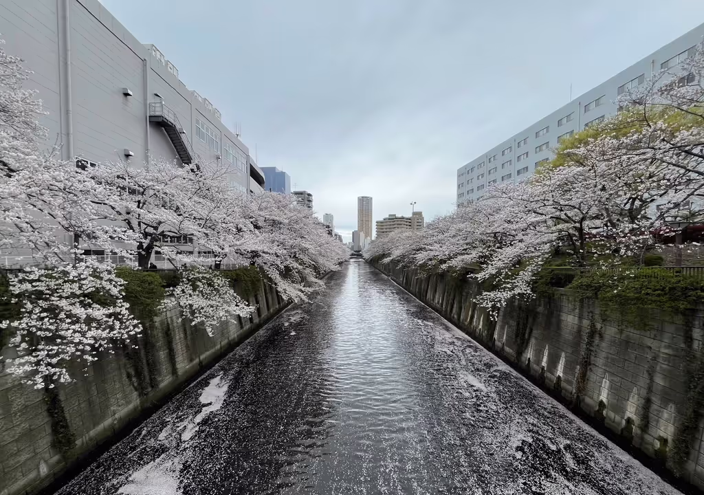 Narita Private Tour - 