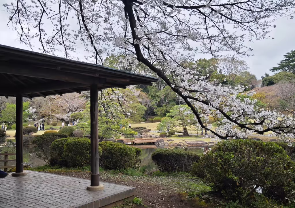 Narita Private Tour - 