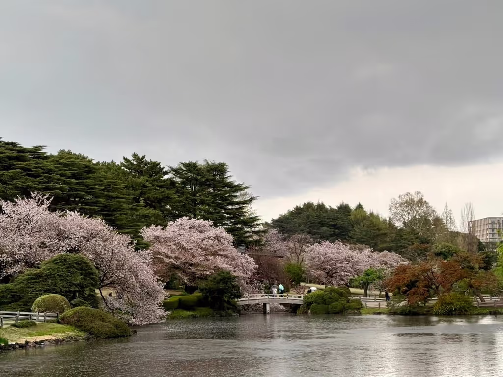 Narita Private Tour - 