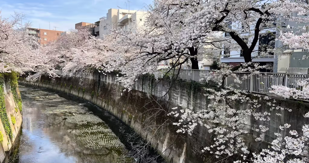 Narita Private Tour - 