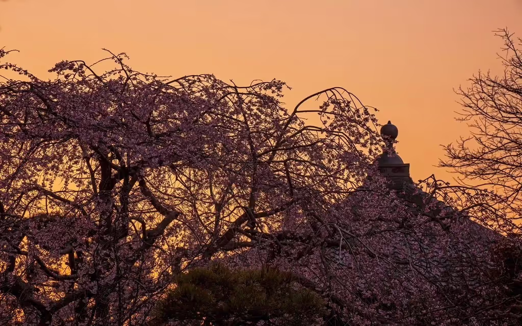 Narita Private Tour - 