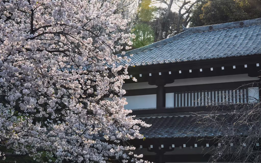 Narita Private Tour - 