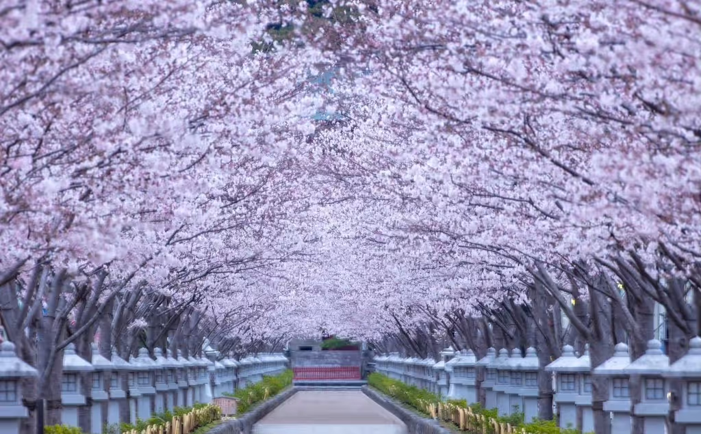 Narita Private Tour - 