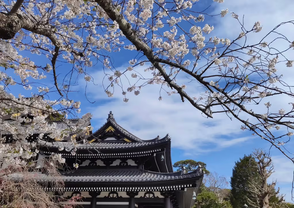 Narita Private Tour - 