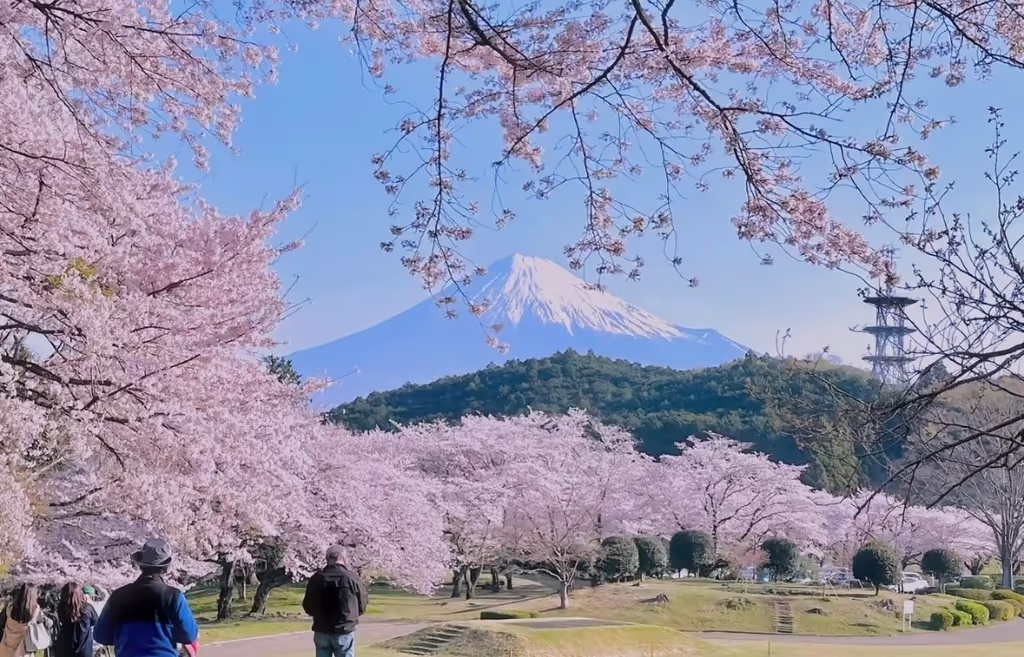 Narita Private Tour - 