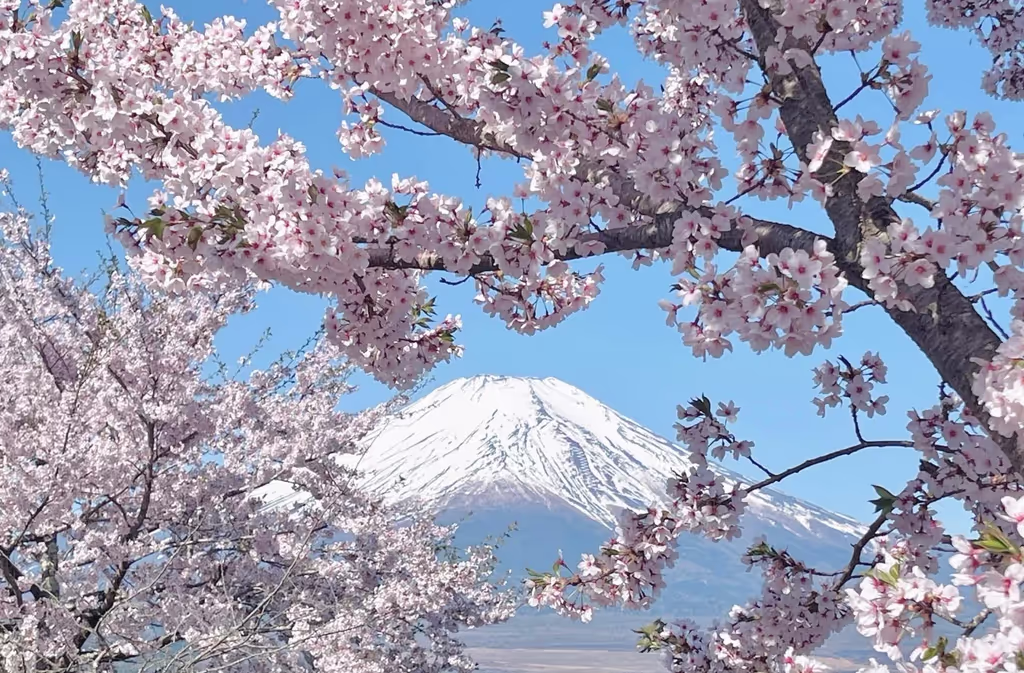 Narita Private Tour - 