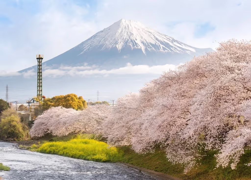 Narita Private Tour - 