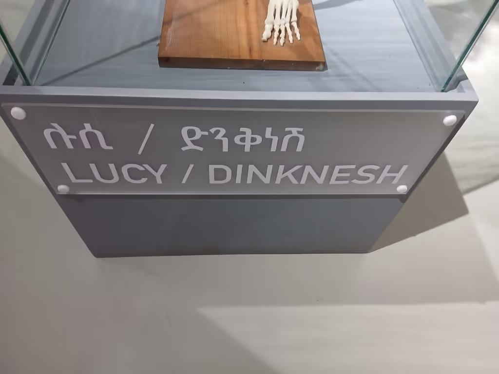 Addis Ababa Private Tour - 