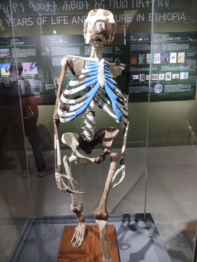 Addis Ababa Private Tour - 