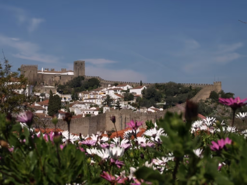 Lisbon Private Tour - Óbidos