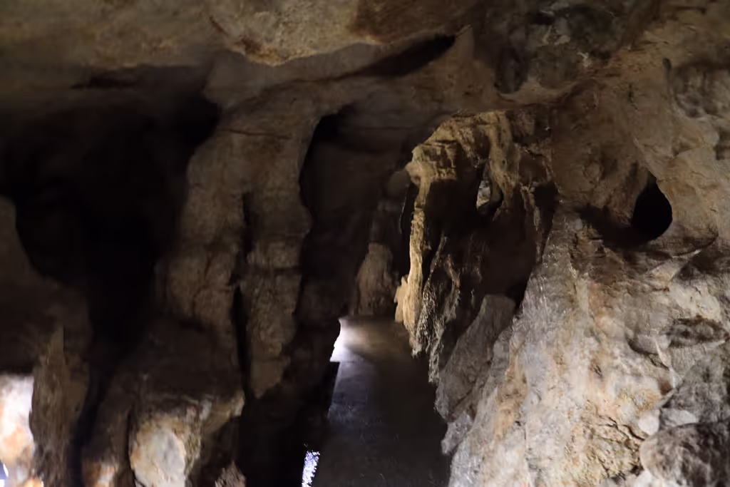 Kochi Private Tour - Ryugado Cave