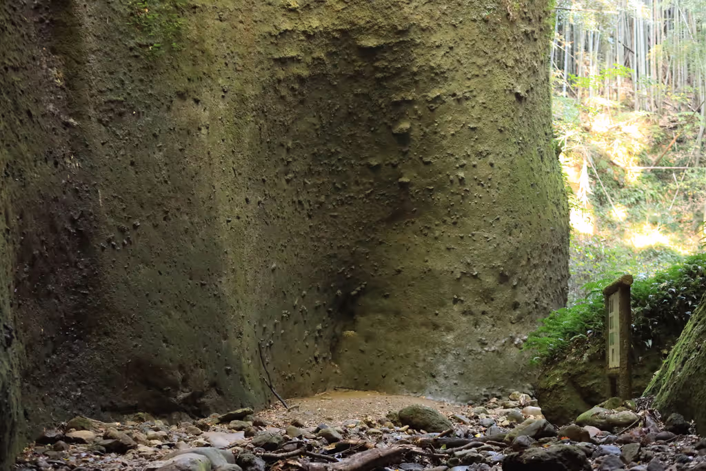 Kochi Private Tour - Ioki Cave