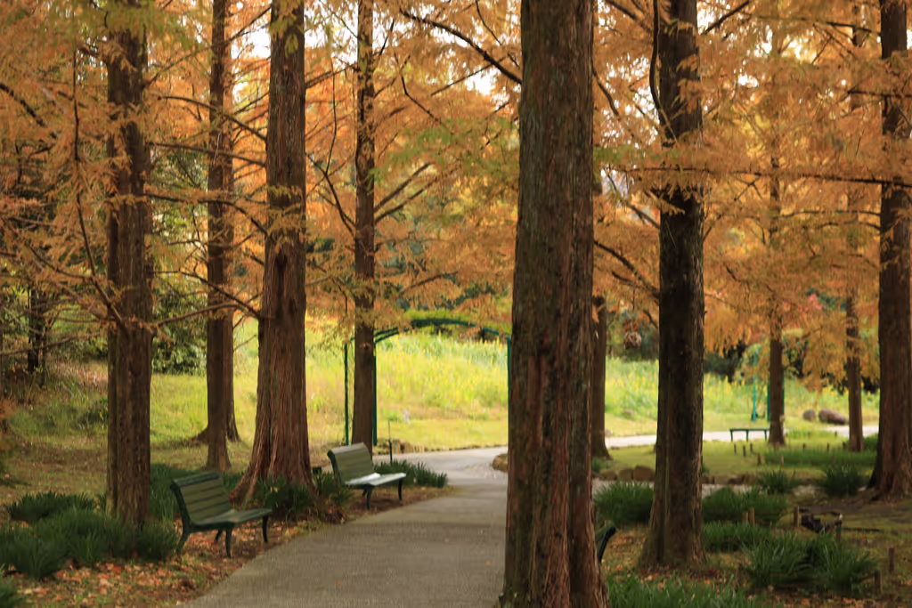 Kochi Private Tour - Monet's Garden