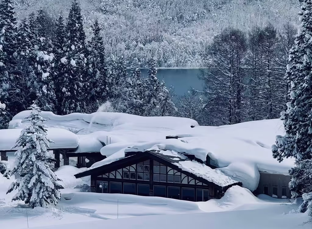 Narita Private Tour - 