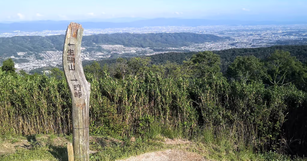 Osaka Private Tour - Incredible views from 'Drift Mountain'