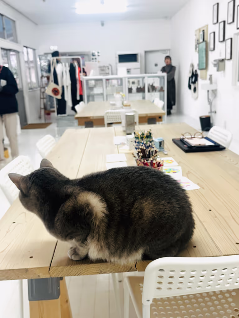 Hiroshima Private Tour - 