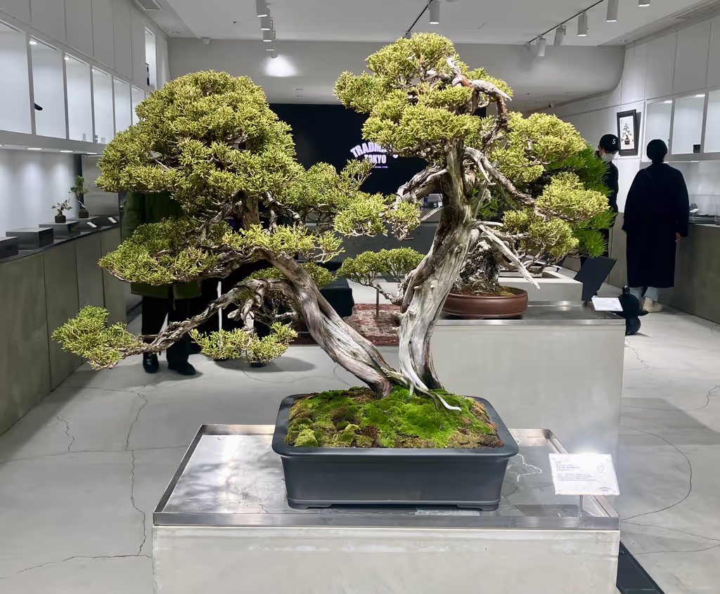 Tokyo Private Tour - 