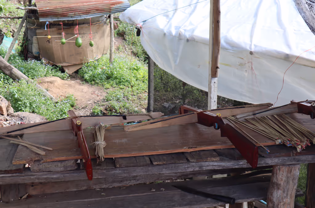 Chiang Mai Private Tour - 