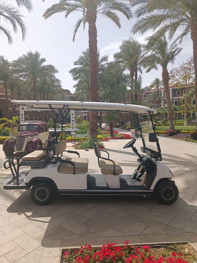 Cairo Private Tour - 