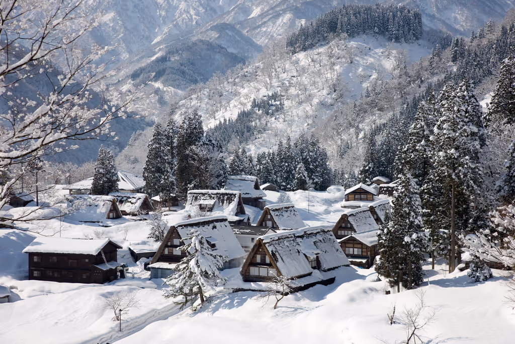 Toyama Private Tour - Ainokura Gassho Village Observation deck