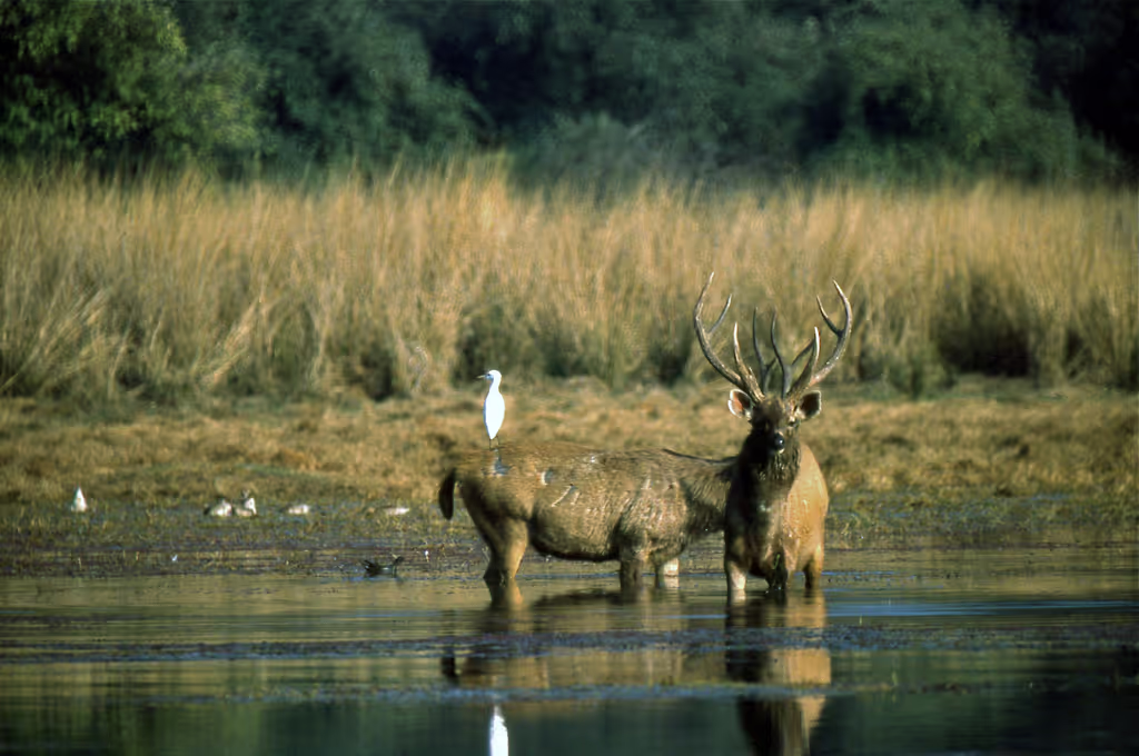 Jaipur Private Tour - 