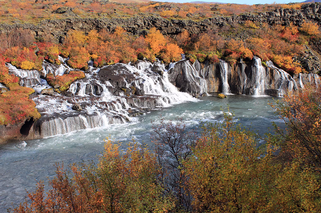 Reykjavik Private Tour - 