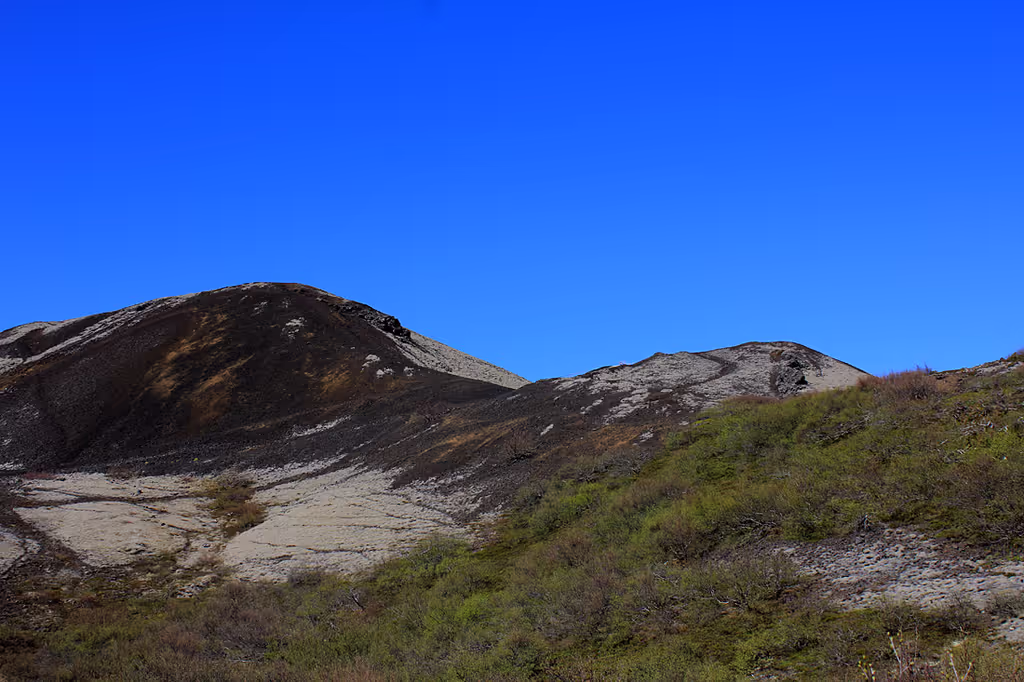 Reykjavik Private Tour - 