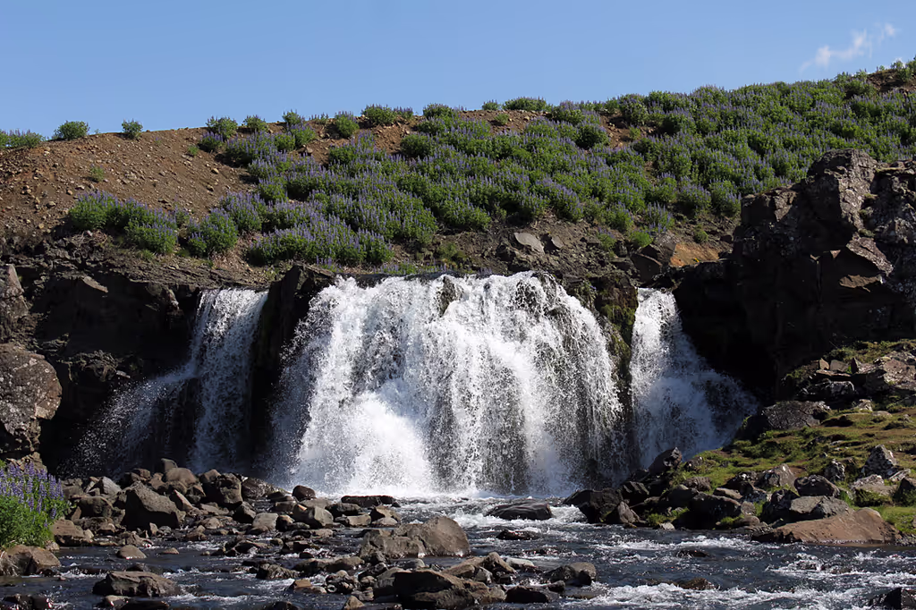 Reykjavik Private Tour - 
