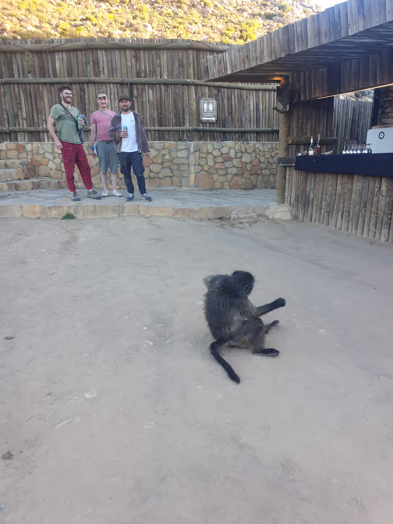 Western Cape Private Tour - 