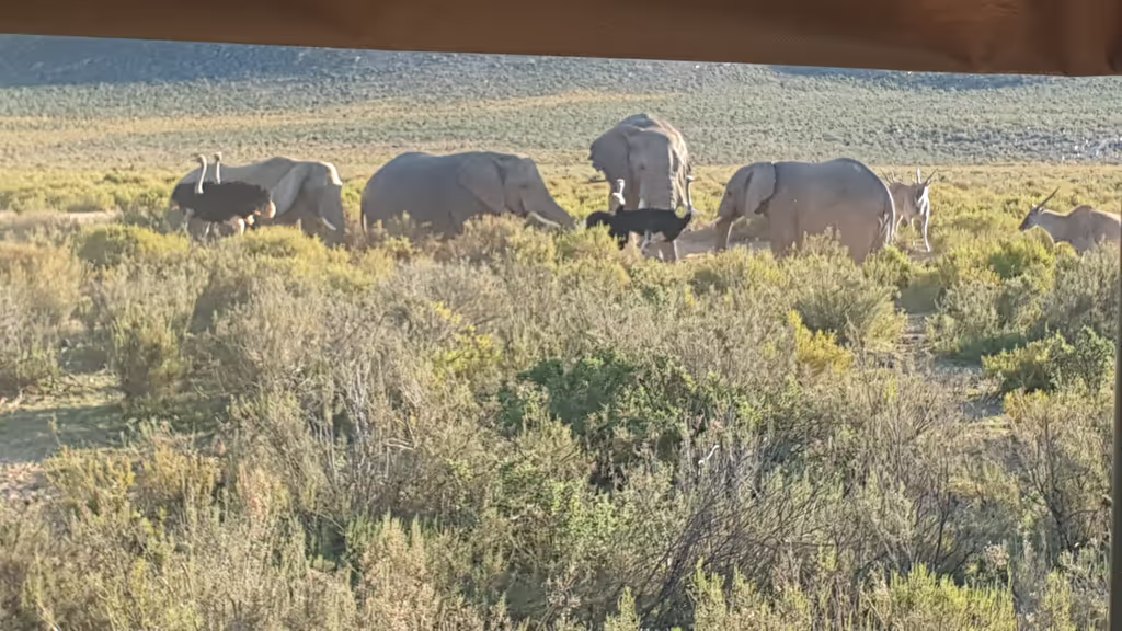 Western Cape Private Tour - 