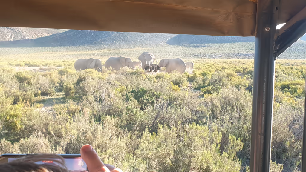 Western Cape Private Tour - 